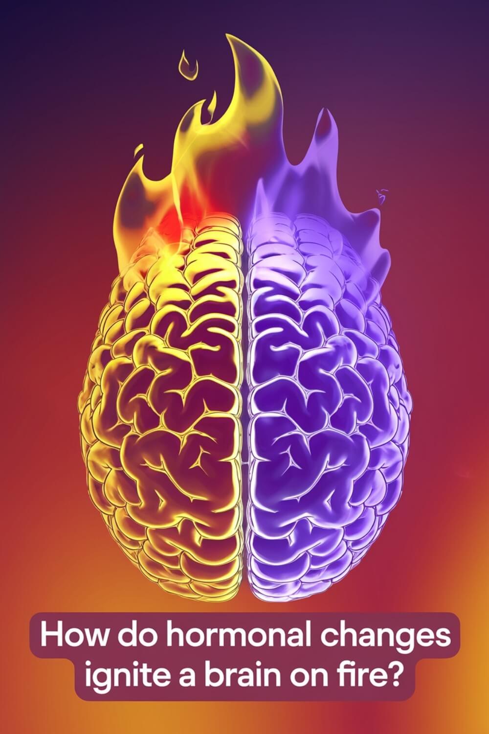 How Do Hormonal Changes Ignite a Brain on Fire 7