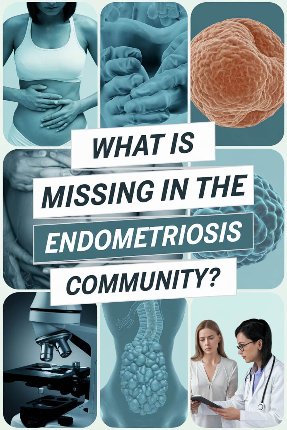 What is Missing in the Endometriosis Community 8