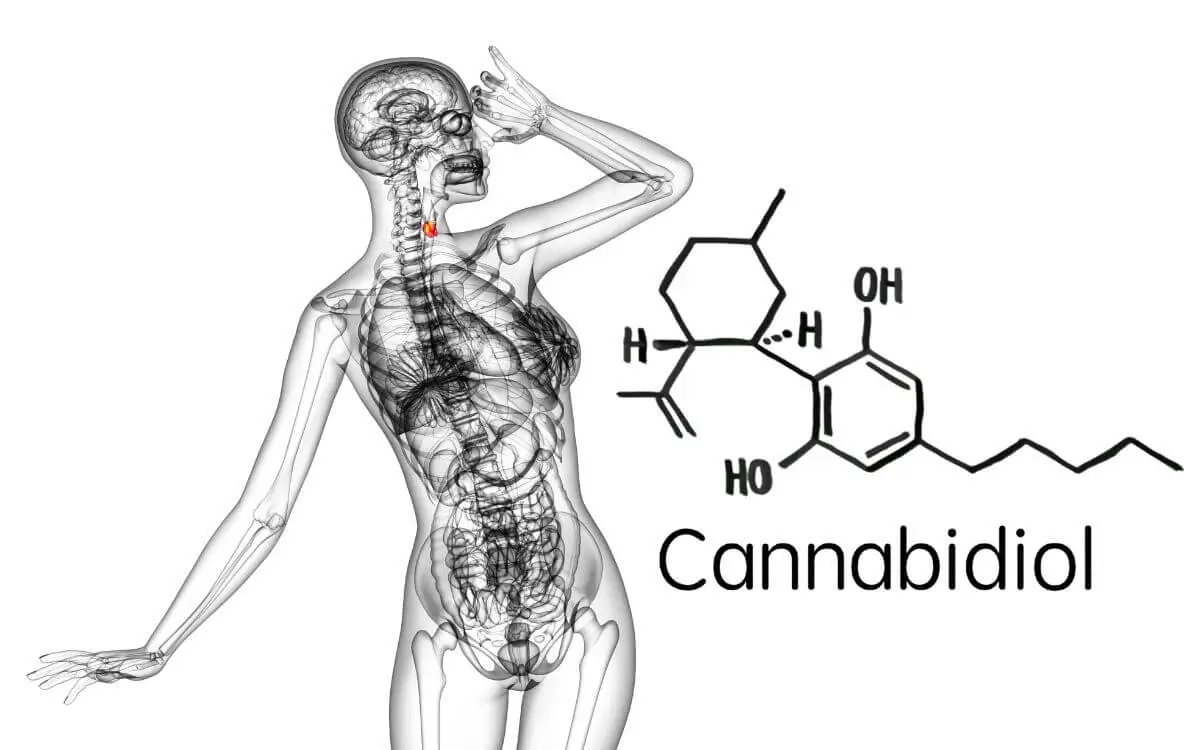 Does CBD reduce inflammation and pain
