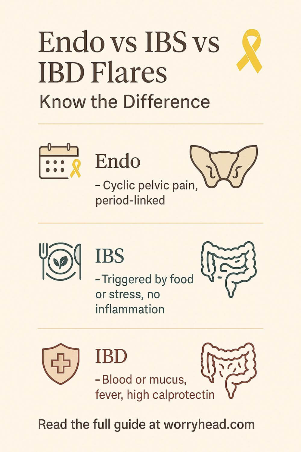 Endo IBS IBD Flare Ups 1
