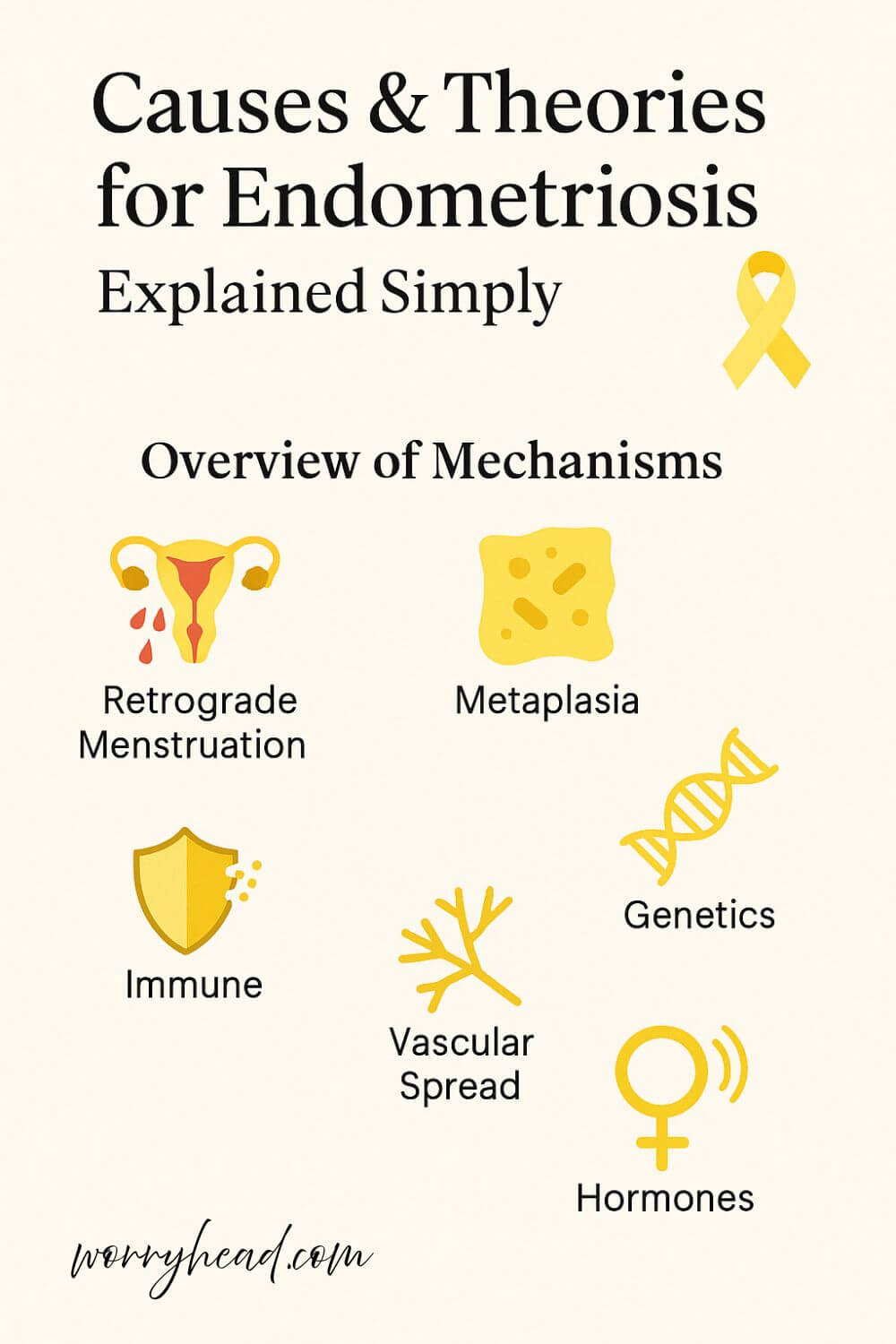 Theories & Causes for Endometriosis 2