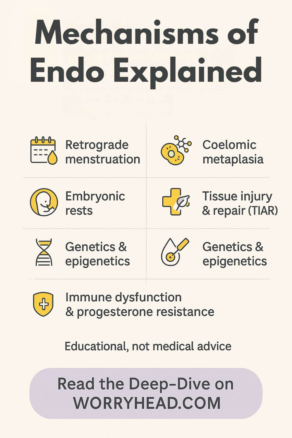 Theories & Causes for Endometriosis 3