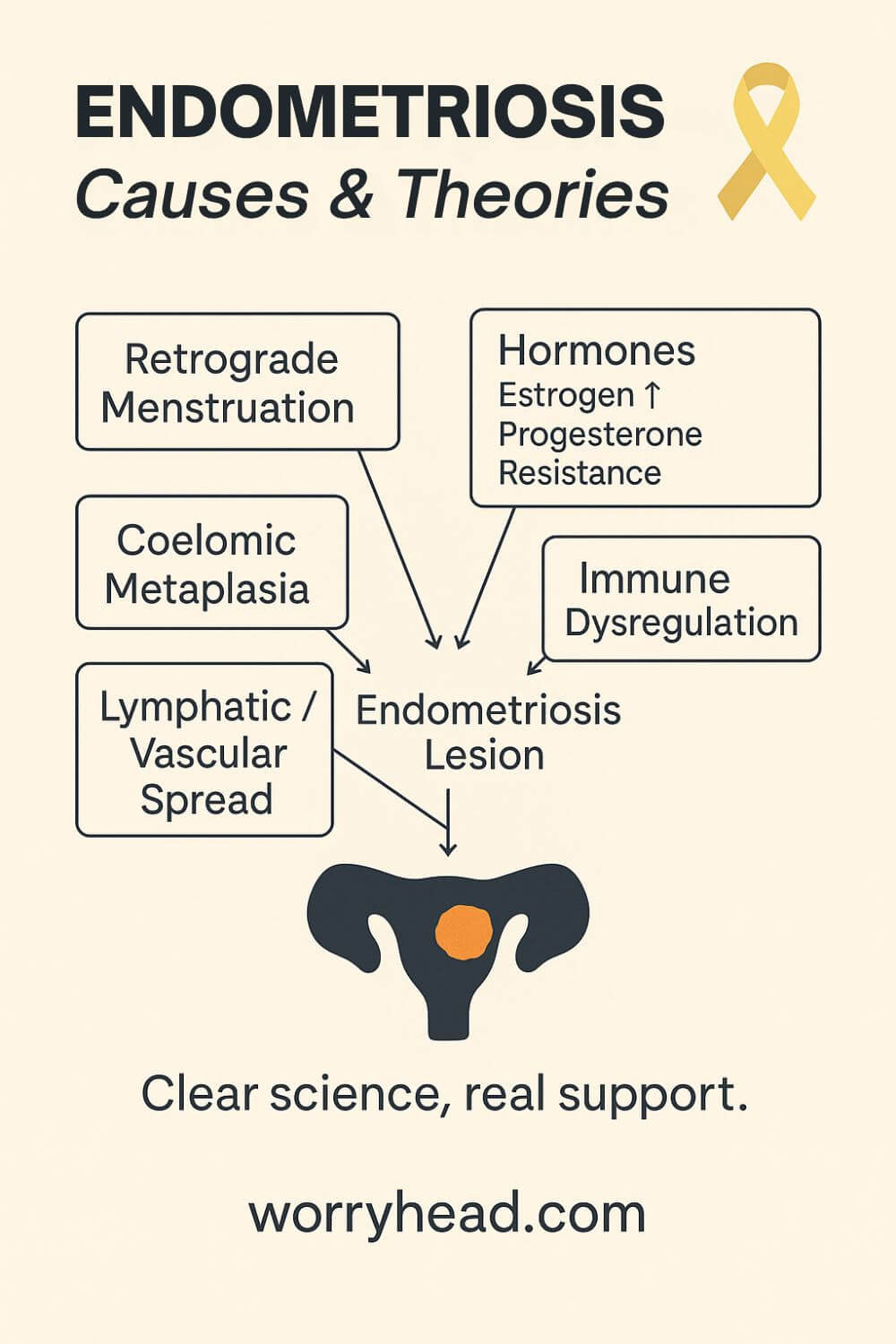 Theories & Causes for Endometriosis 4