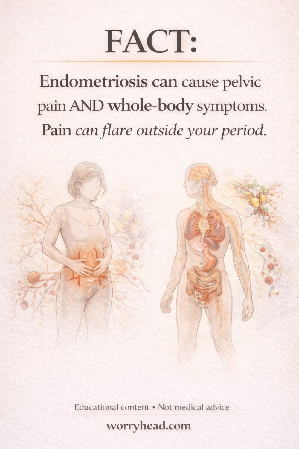 Endometriosis Myths and Facts 3
