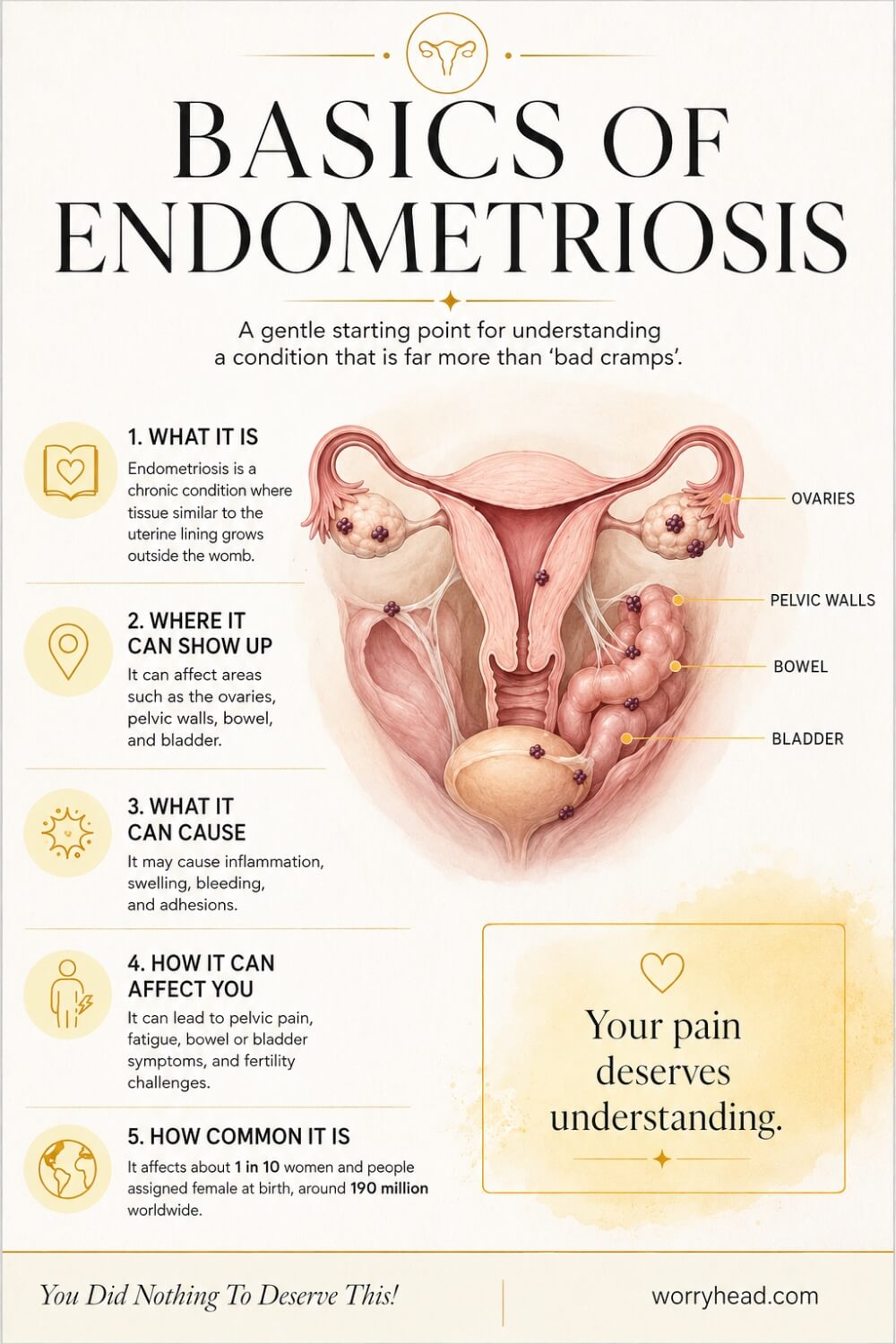 Basics of Endometriosis 1