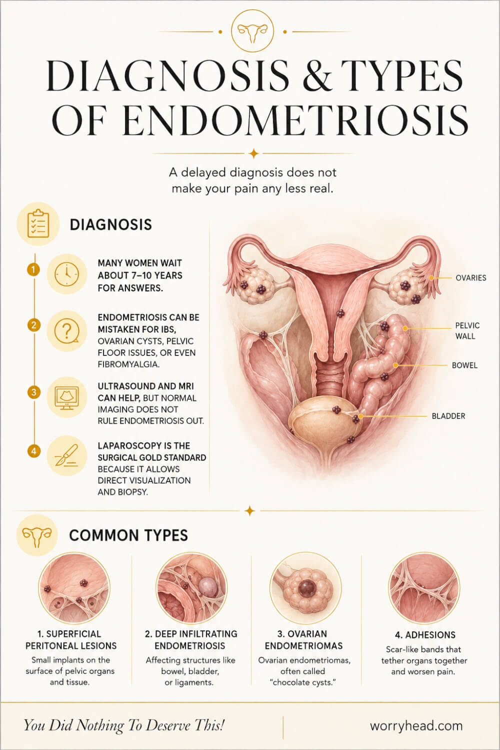 Basics of Endometriosis 2