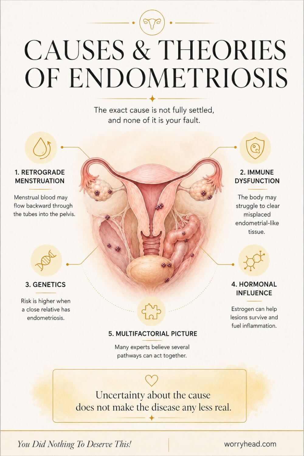 Basics of Endometriosis 5